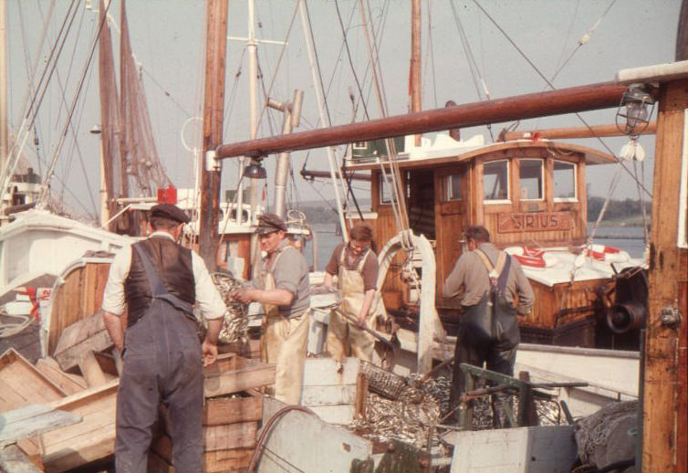 #15 Fischer, probably in or around Kappeln (Schlei), 1960s