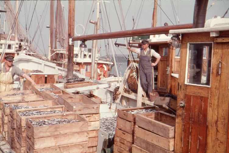 #16 Fischer, probably in or around Kappeln (Schlei), 1960s