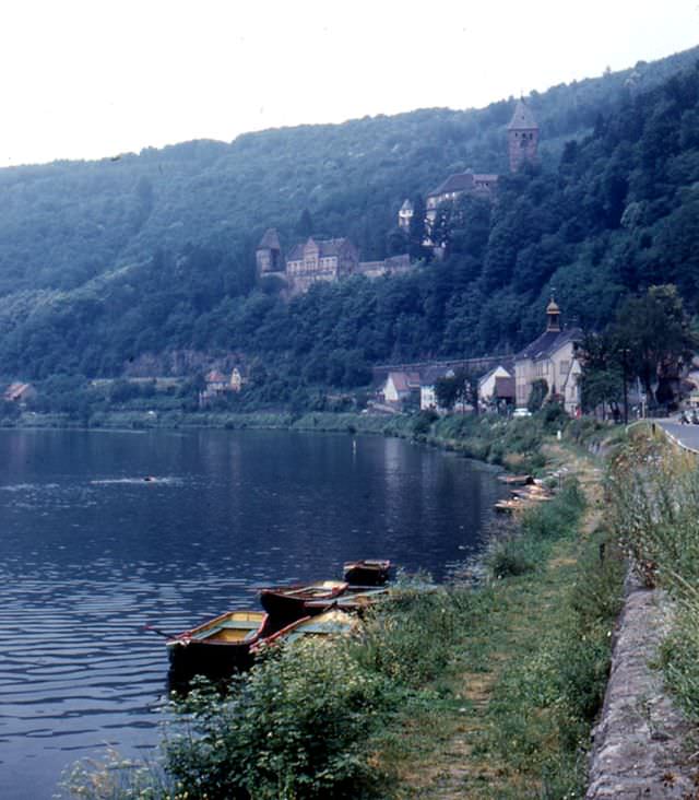 #187 Schloss Zwingenberg