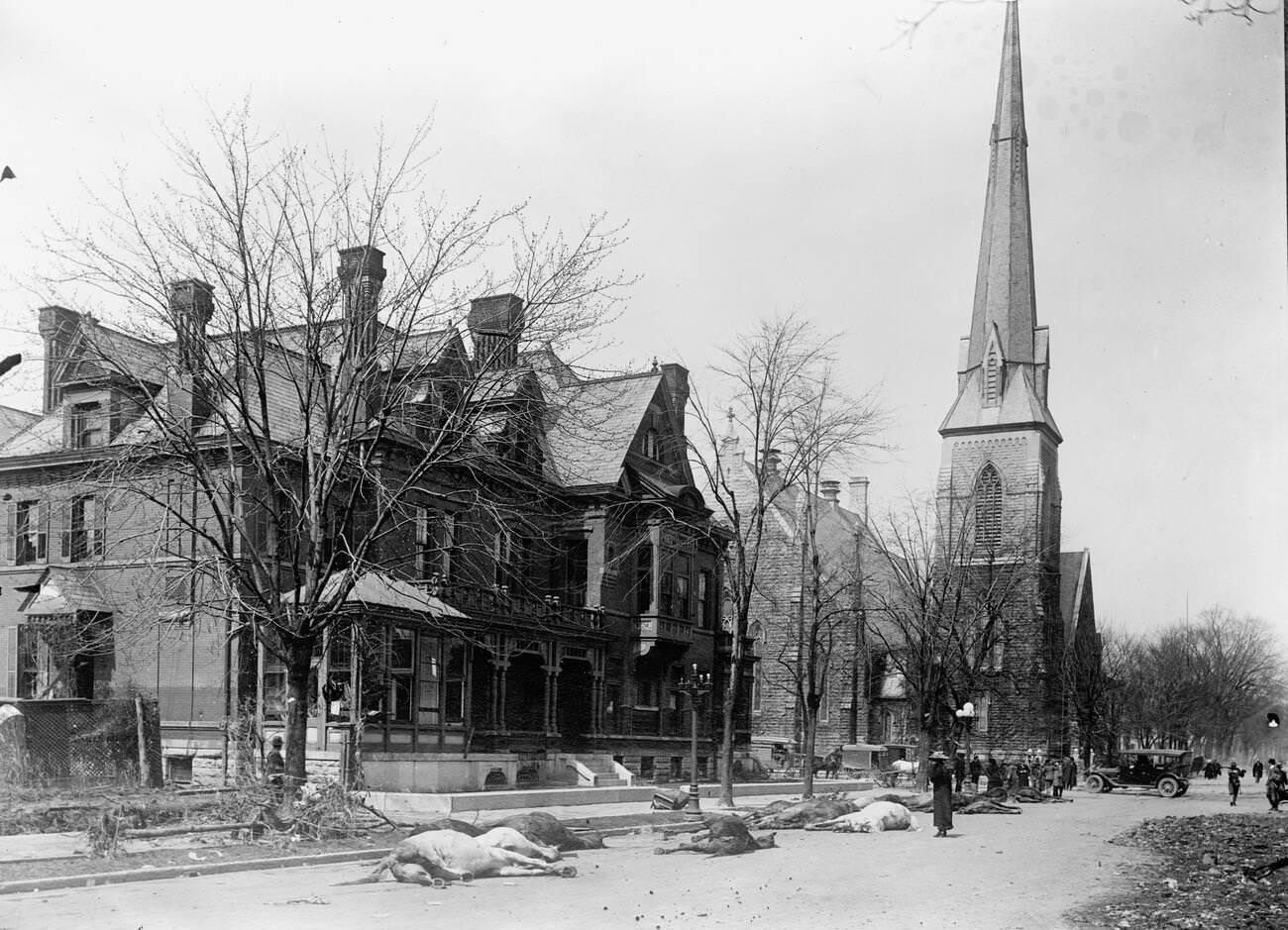 #29 Flood scenes in Dayton, Ohio, 1913. Dead horses in the street.