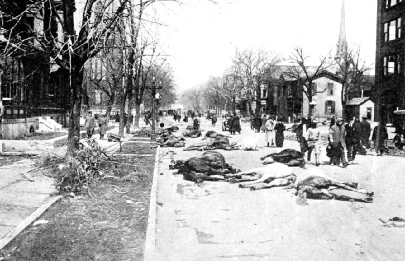 #38 Flood, drowned horses, 1913.