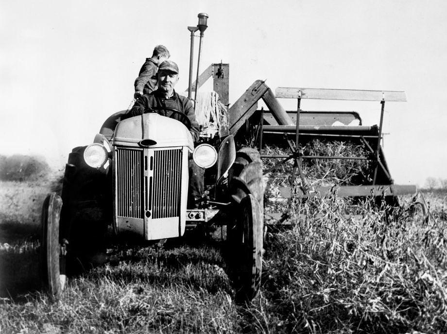 #106 Eastern Henrico County farmer J.B. Alvis drove his tractor through 70 acres of soybeans, 1949.