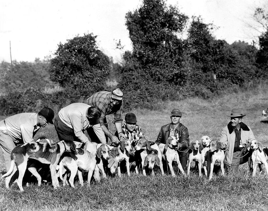#127 Sportsmen from Virginia and surrounding states brough their best hounds last Monday to Baskerville, near South Hill, for the twenty-sixth annual field trials of the Virginia Fox Hunters Association, 1948.