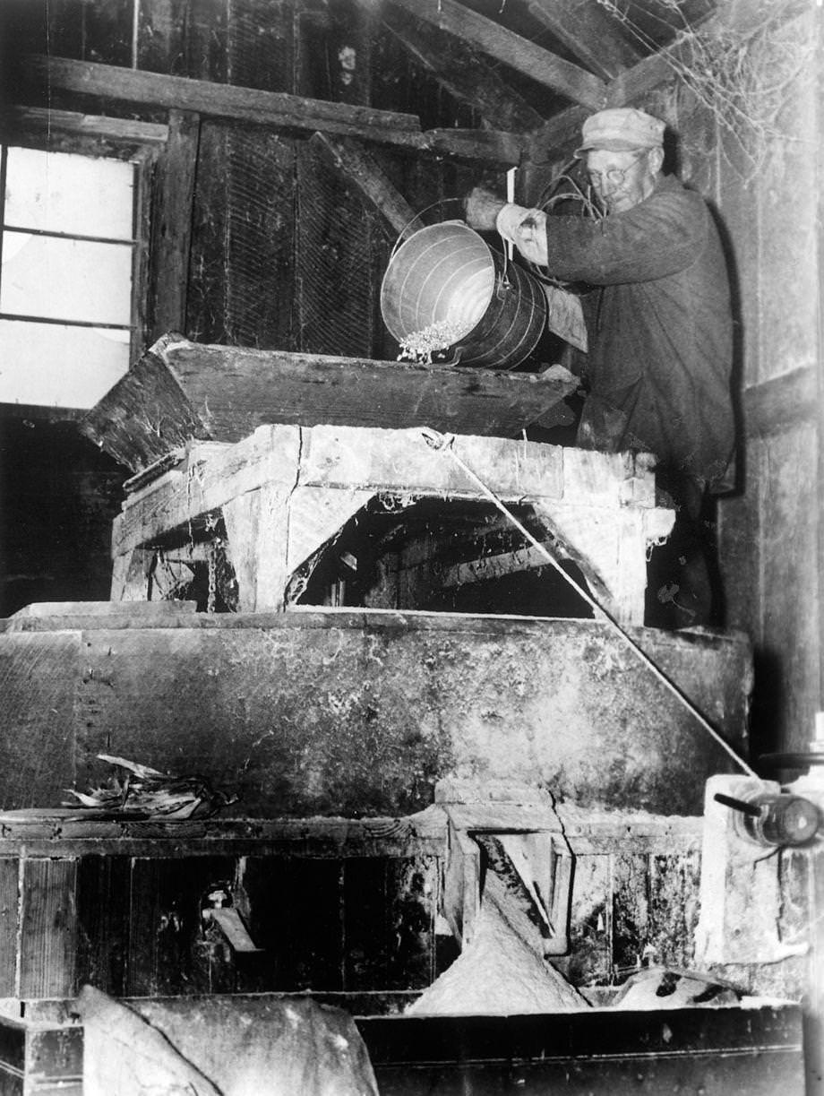 #145 Ed Brooking, the 68-year-old proprietor of the Cedar Point Grist Mill in Goochland County, loaded corn into a funnel to be ground by the millstones, 1947.