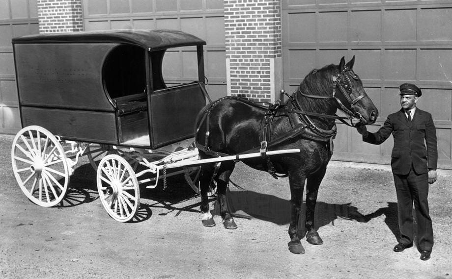 #146 Robert Price stood beside a horse and wagon he would soon be driving for the Miller & Rhoads department store in Richmond, 1942.