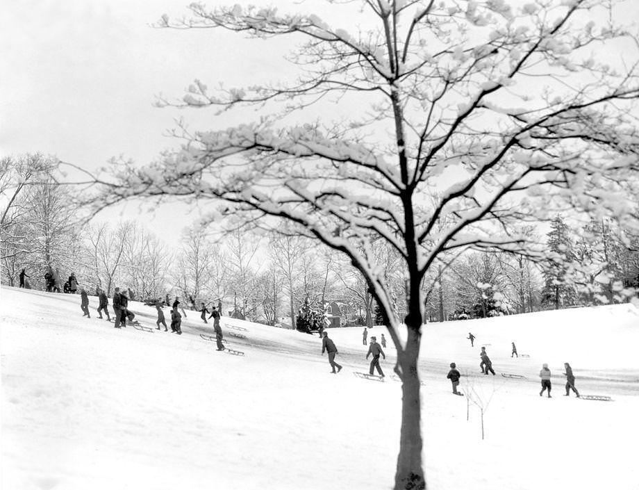 #101 A snowy slope at Forest Hill Park in Richmond came to life on a cold afternoon, 1955.
