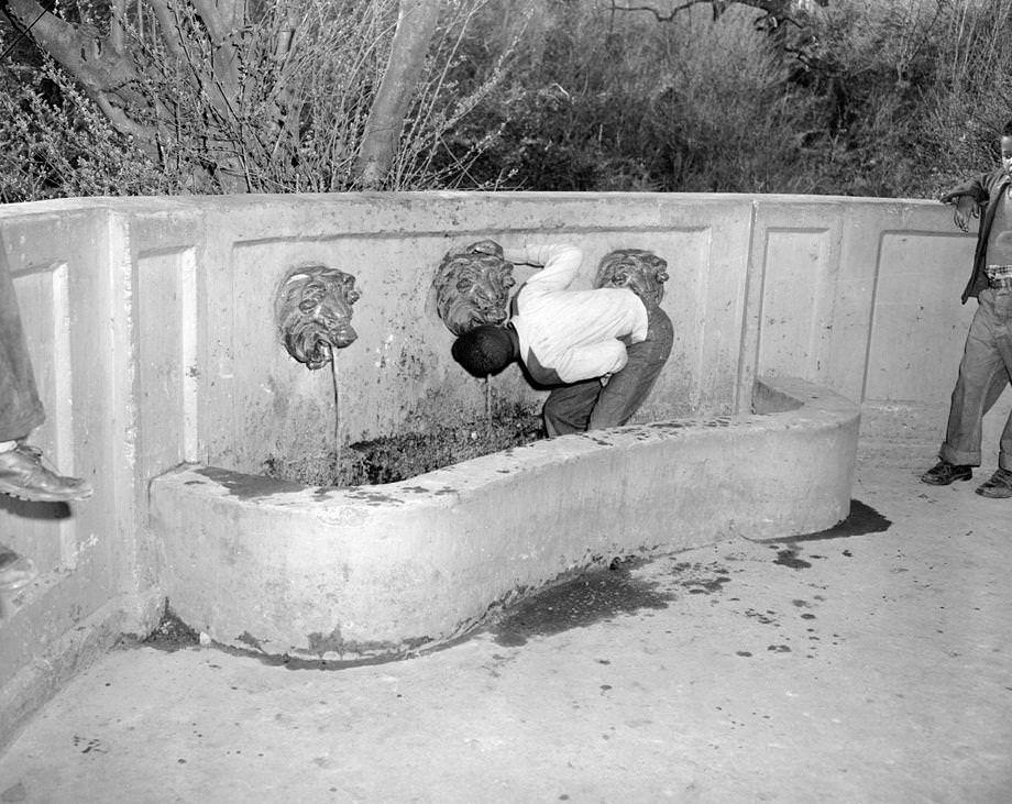 #125 Some children took a rest and got a drink from a fountain in North Richmond located along the Richmond Henrico Turnpike, 1950.
