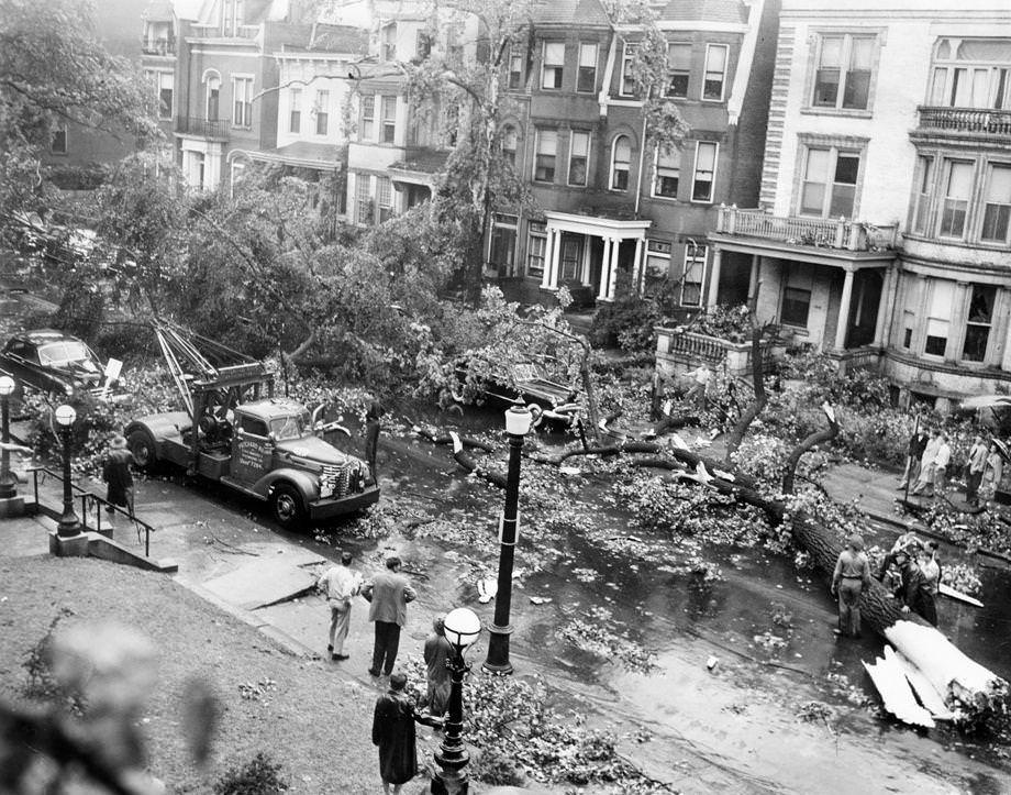 #6 Tornado felled trees in front of Commonwealth Club on Franklin St., June 13, 1951.