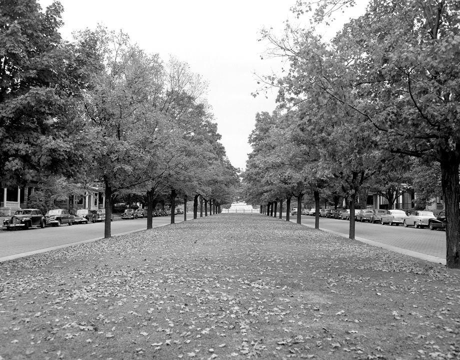 #178 The Monument Avenue median adorned with autumn leaves, 1952.
