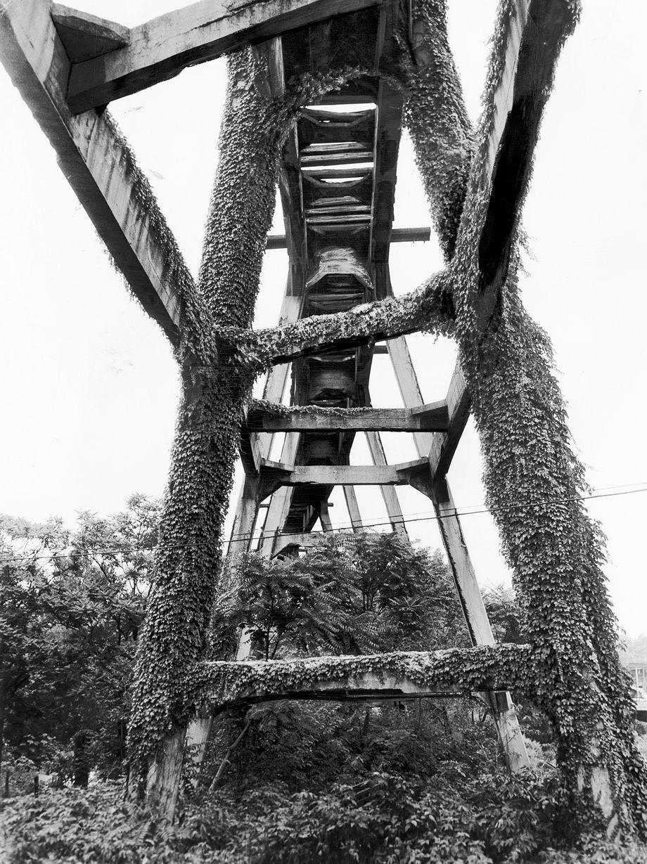 #25 A crumbling Richmond-Ashland Electric Line viaduct, covered in vines, near Moore Street in Richmond, 1950.