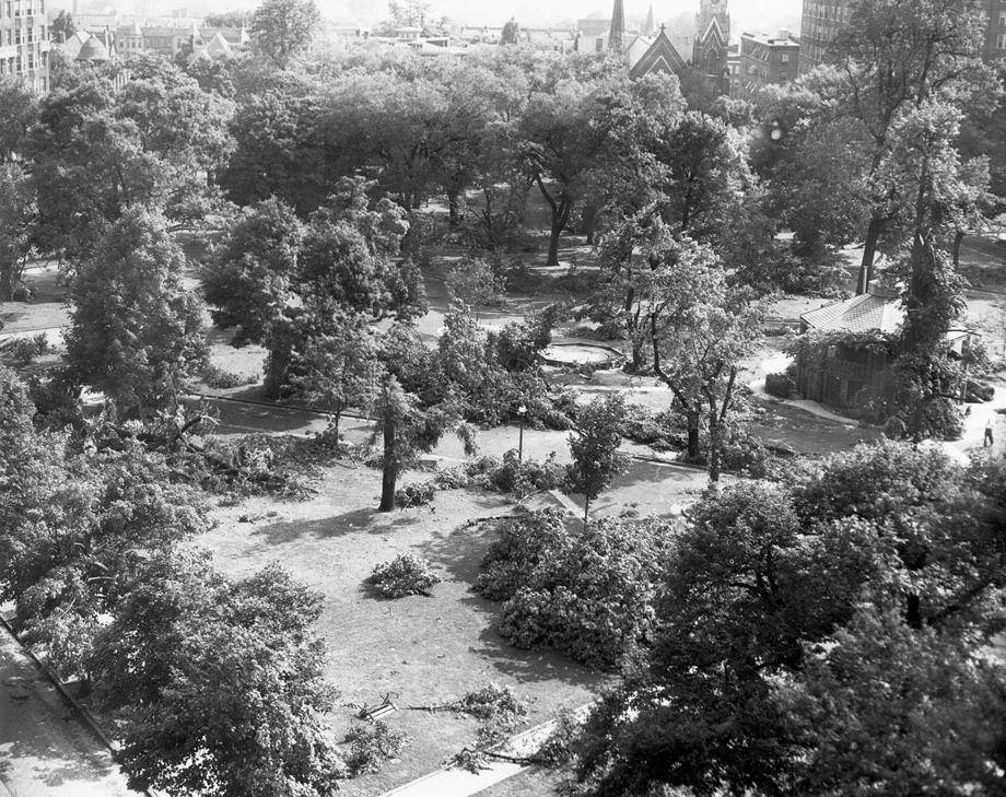 #7 Tornado damage from June 14, 1951 storm. Photo taken June 23, 1951. Location is Monroe Park.