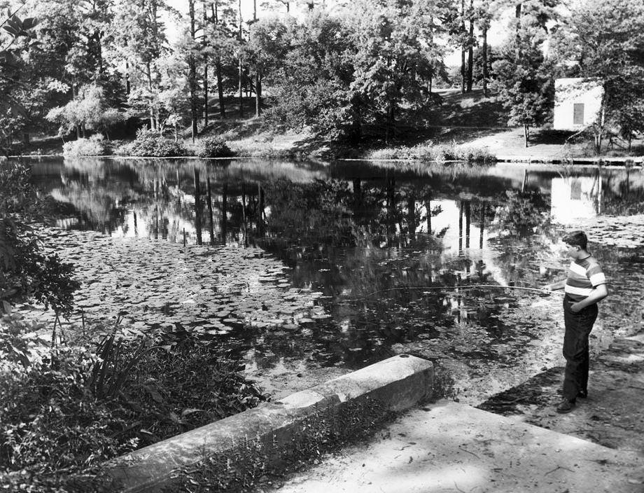 #42 In September 1951, a boy fished at the dam of Lakeside Lake in Henrico County, 1950.