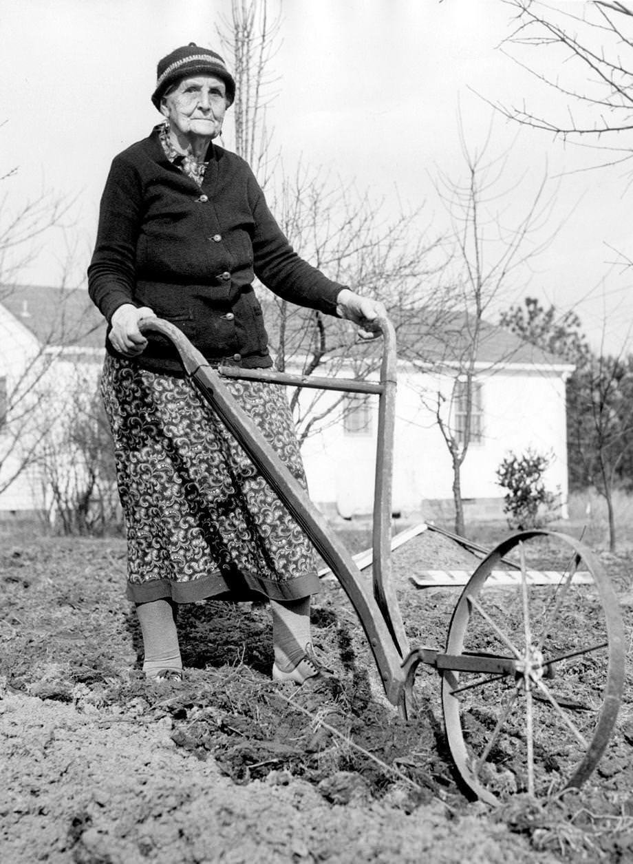 #56 Mrs. V.C. Wiltshire, 85, prepared for spring planting at her home on Patterson Avenue in Richmond, 1952.