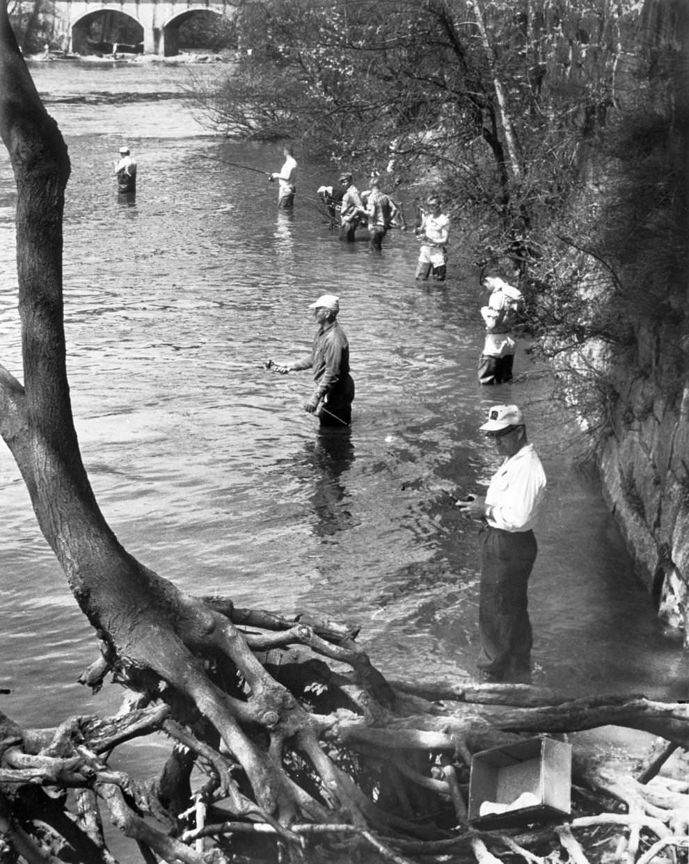 #102 Fishermen waded into the James River in search of shad, which were in season, 1964. The 14th Street Bridge in downtown Richmond is in the background.
