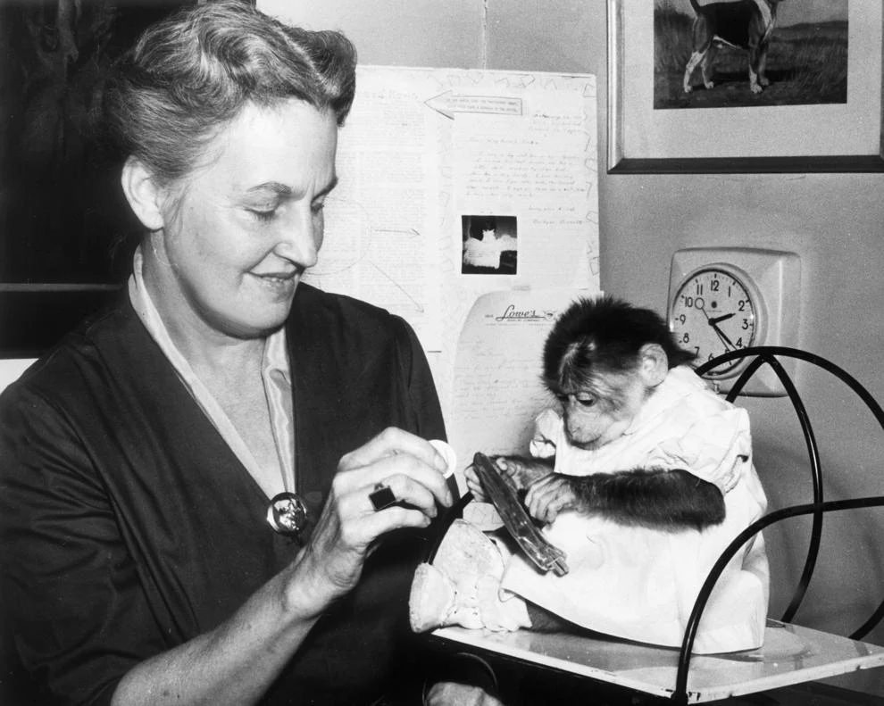 #117 Tthe Richmond SPCA held its Be Kind to Animals Week to promote membership, 1960.