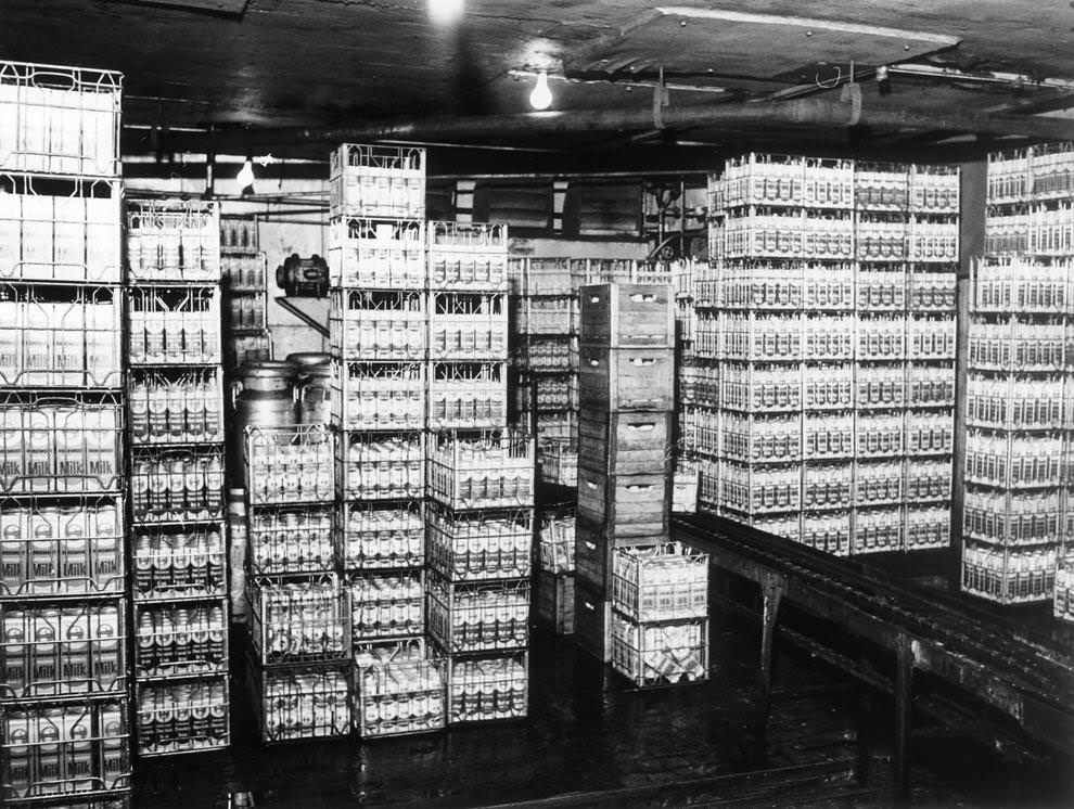#62 Cartons of homogenized milk were stored in a cooling room at Richmond Dairy Co. before being delivered to homes and stores, 1961.