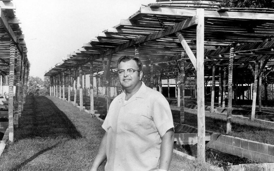 #185 Richard S. Graves stood amid shaded worm pits at his worm farm in the Fork Union community in Fluvanna County, 1970.