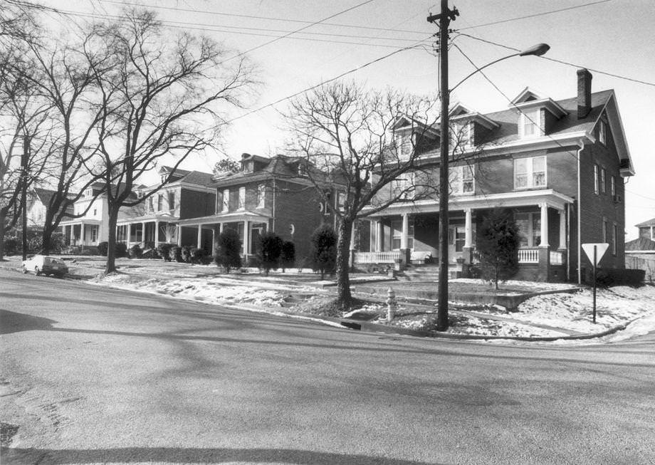#20 A block of West 31st Street in Woodland Heights, 1978.