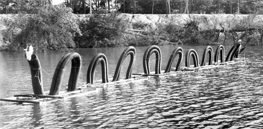 #36 Plastic drain pipe was shaped into a 60-foot “serpent” in the Yeocomico River near Kinsale on Virginia’s Northern Neck, 1978.