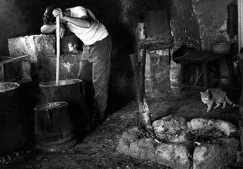 #13 Sheep’s milk ricotta. Production of artisan cheese in the Sicilian countryside, Ferla, Sicily, 1971
