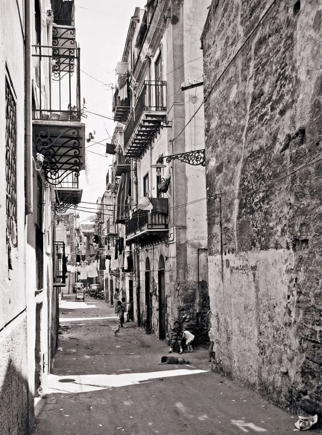 #19 Alley of Palermo. Children, dogs, chickens often share the same spaces of play in the street, Sicily, 1973