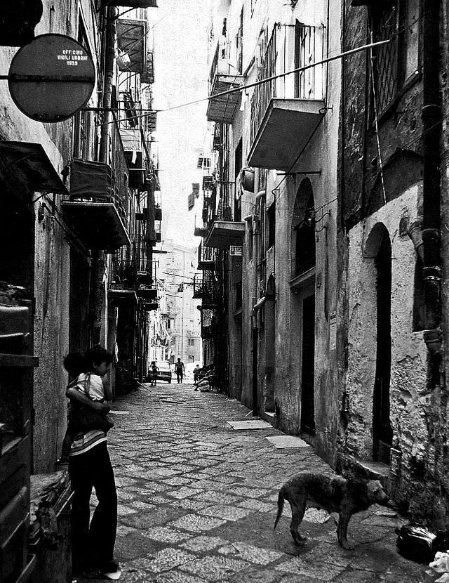 #21 Dog’s life, Catania, Sicily, 1973