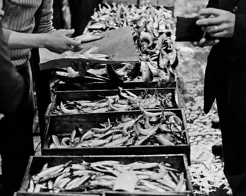 #23 Fish market, Palermo, Sicily, 1973