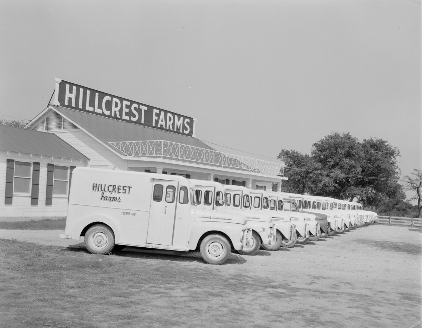 #91 Hillcrest Farms Dairy Trucks in Austin, Texas, 1951.