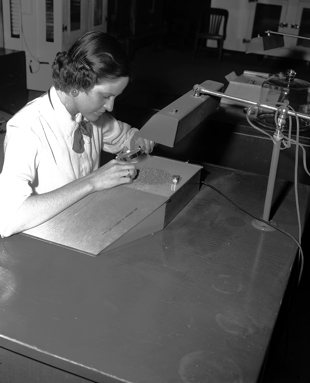 #141 Seed Purity Analysis at State Agriculture Department Laboratory, 1951.
