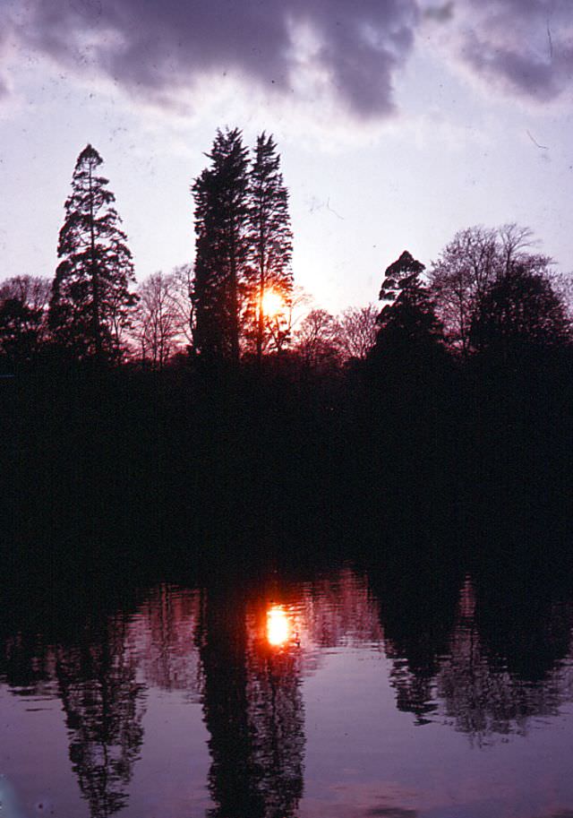 #110 Singleton Park, Swansea, Wales, 1964