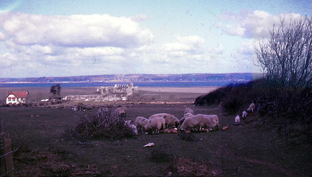 #111 Weobley Castle, Gower, Wales, 1964