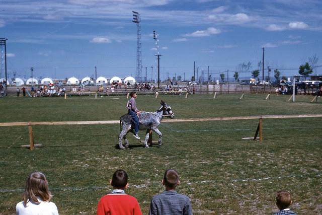 #115 Boy and donkey in last place at race, Torrejon AFB, Madrid, Spain, 1961