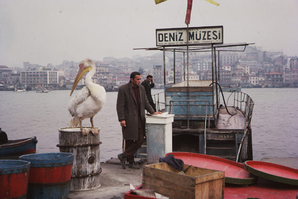 #180 Golden Horn fish dock, Istanbul, Turkey, April 7, 1965