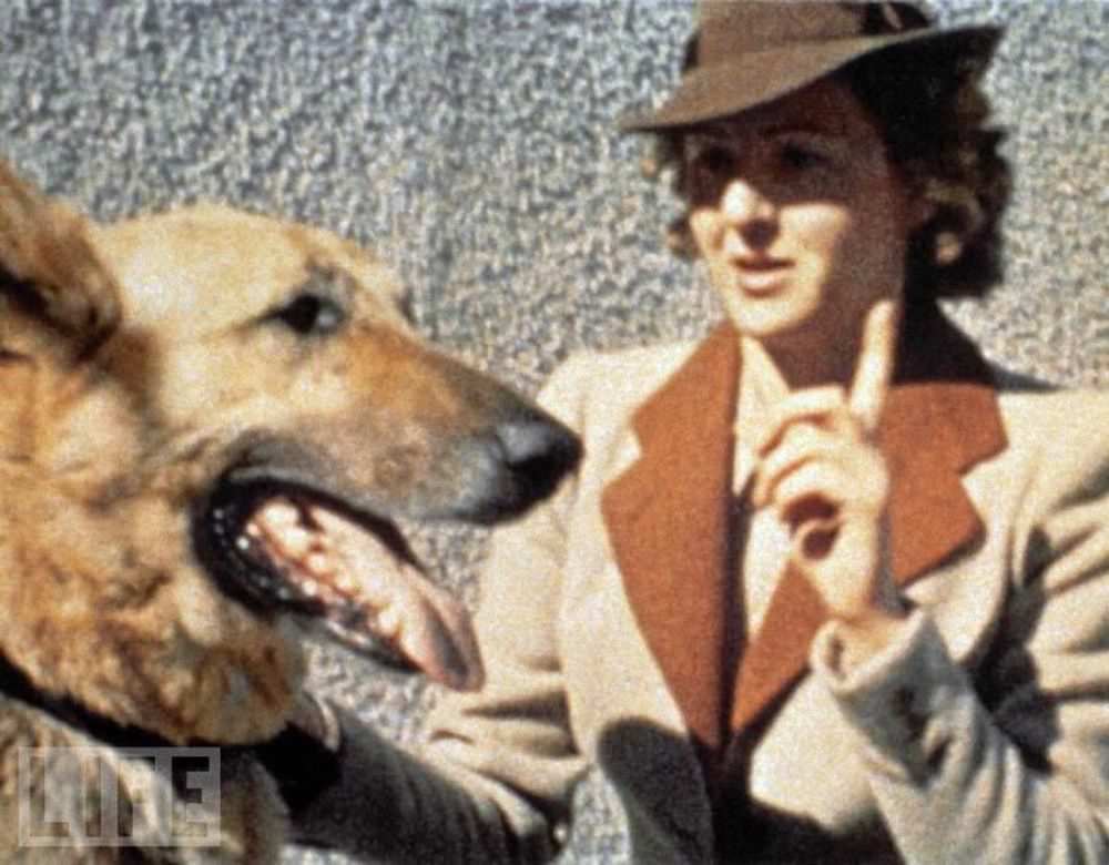 #5 Braun and Hitler’s German shepherd in 1942.