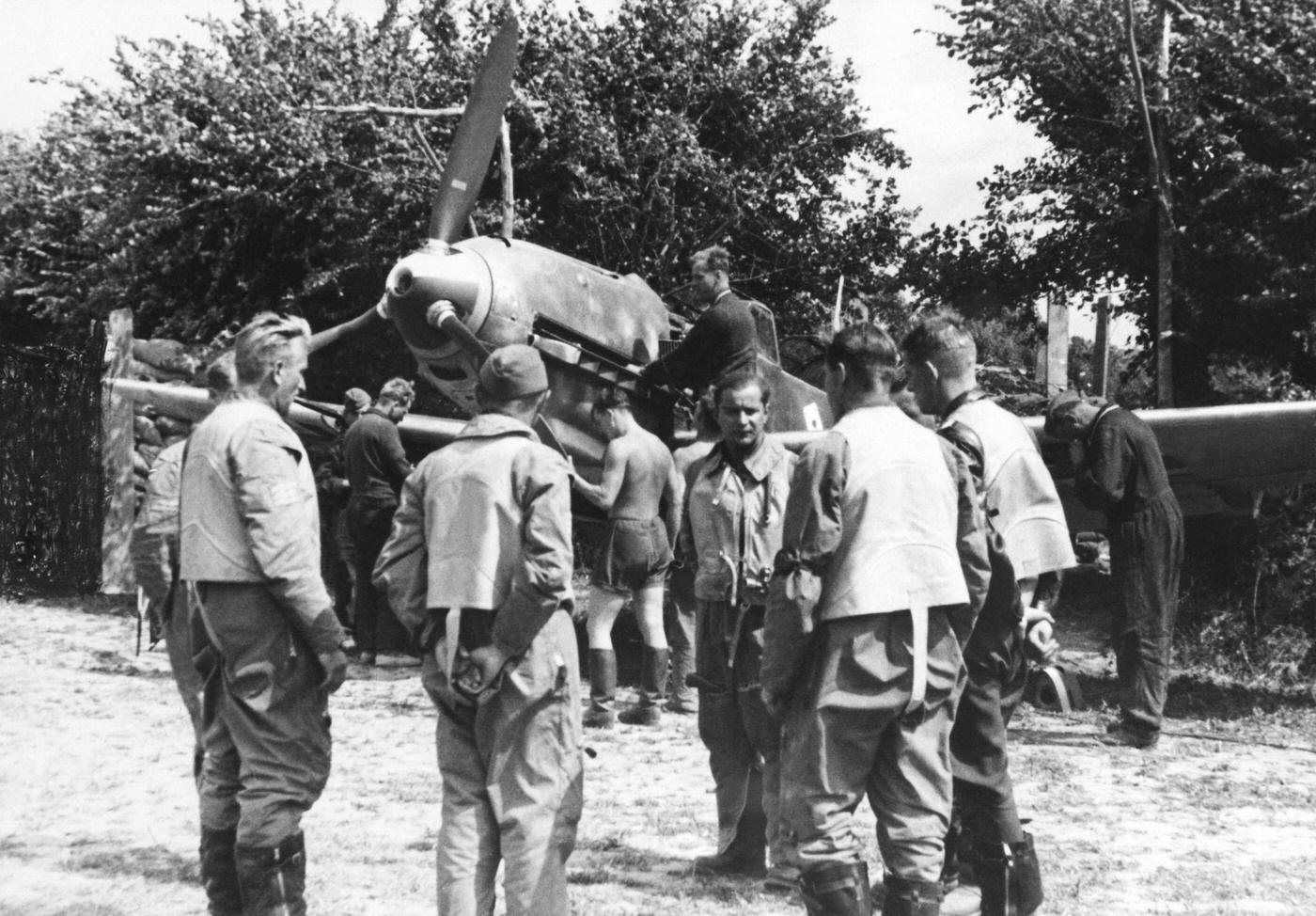 #107 Agriculture in the GDR: Women harvest peas in the LPG Zehren, Meissen district.