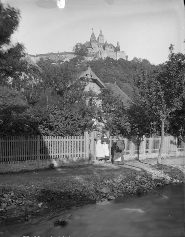 #20 Women in Wernigerode, Wernigerode Castle background, 1885.