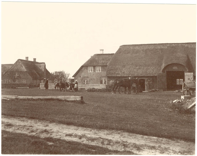 #25 Farmstead with people, island of Sylt, 1880s.