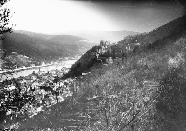 #6 Heidelberg, vineyard terraces, River Neckar in background, 1881.