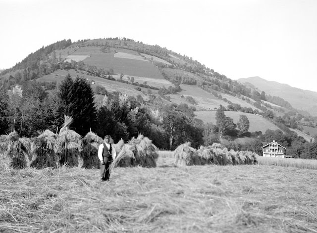 #106 Building shocks, Germany