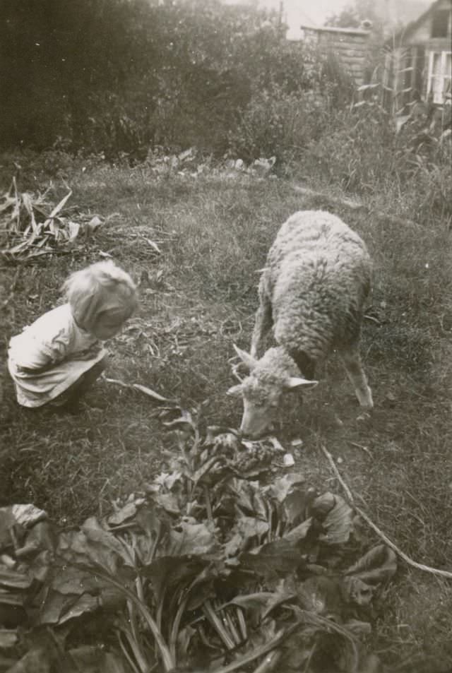 #13 Fascination, circa 1930s