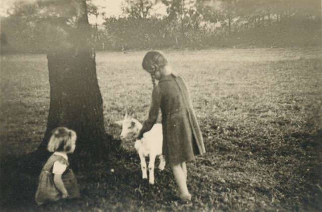 #23 The little white goat always told the best stories, circa 1940s