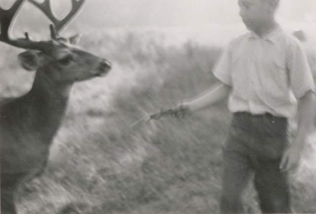 #24 A tender offering, circa 1950s