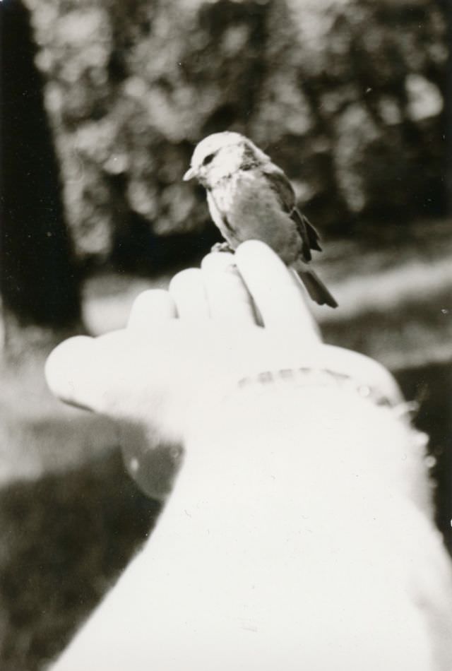 #26 Little friend, Germany, circa 1950s