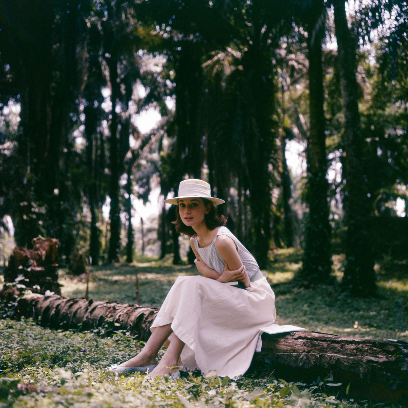 #83 Audrey Hepburn with a white hat and dress sits on a tree while walking in the Congo forest, 1958.