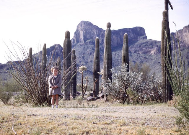 #16 Child Standing Tall with Cactus, Circa 1950s