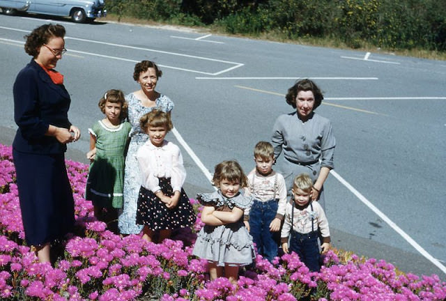 #38 Women and Children Standing in Flowered Area, Circa 1950s