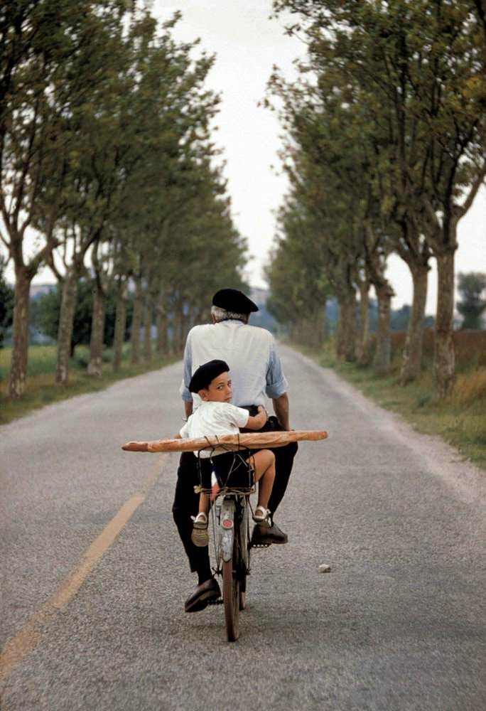 #47 Provence, France, 1955