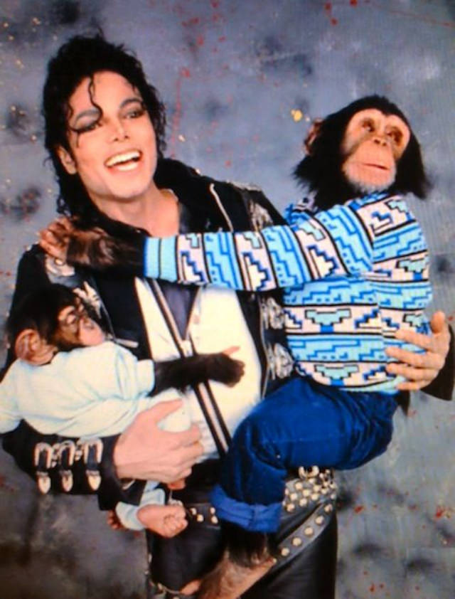 A Pop King and His Primate: The Tale of Michael Jackson and His Pet Chimp, Bubbles Music