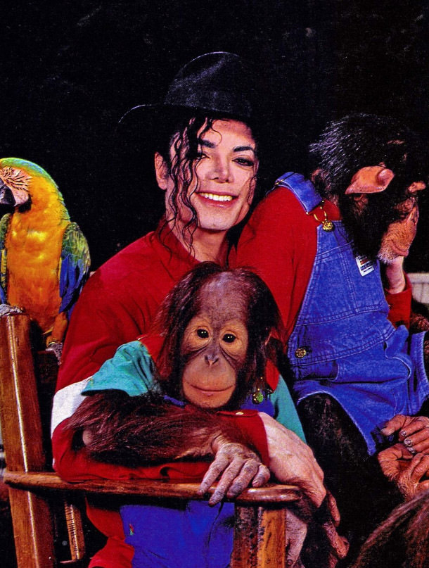 A Pop King and His Primate: The Tale of Michael Jackson and His Pet Chimp, Bubbles Music