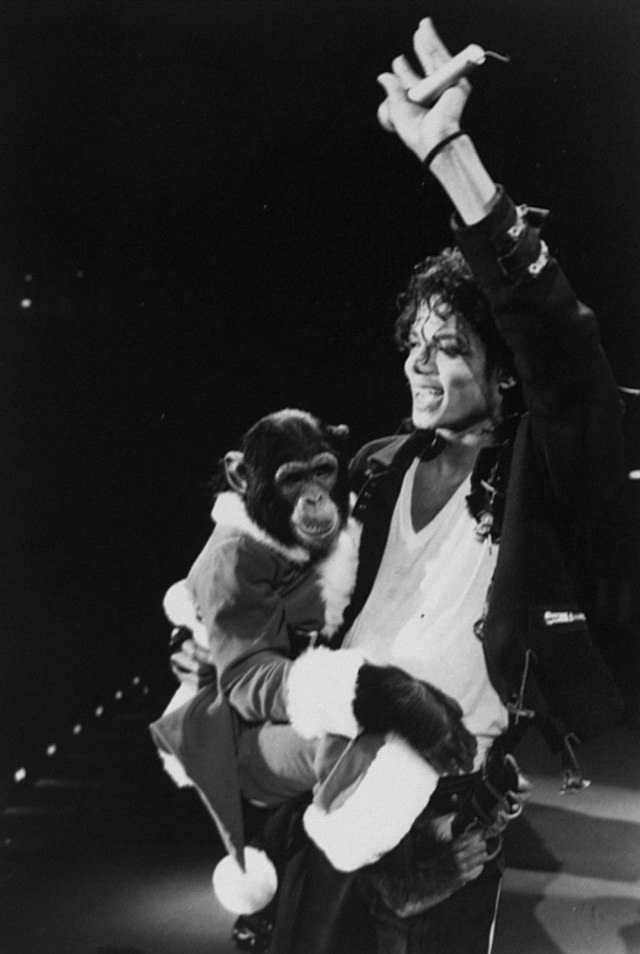 A Pop King and His Primate: The Tale of Michael Jackson and His Pet Chimp, Bubbles Music